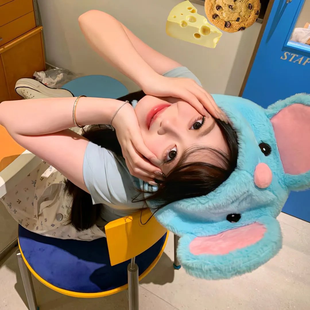 做一只鸟真不容易